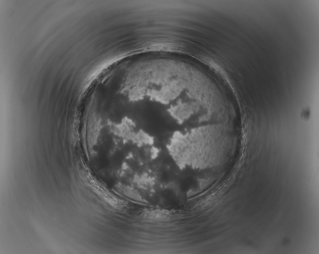 X0000116121019200912071341