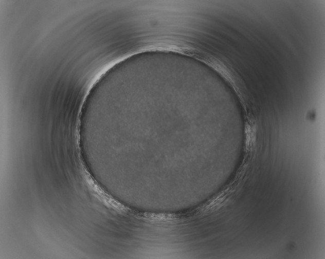 X0000116121020200912071341