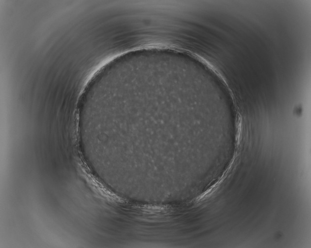 X0000116121021200912071341