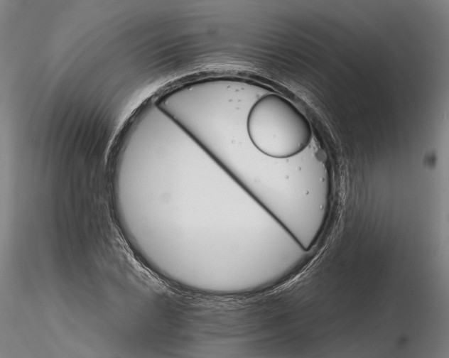 X0000116121022200912071341