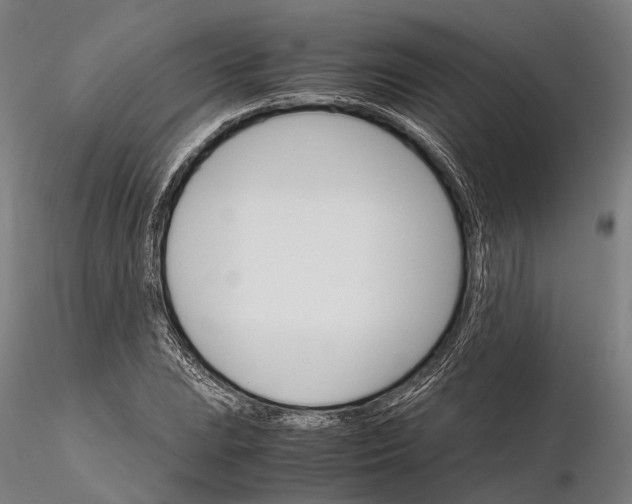 X0000116121023200912071341