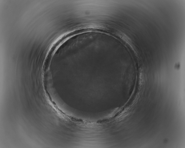 X0000116121024200912071341