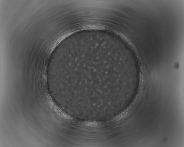 X0000116121025200912071341