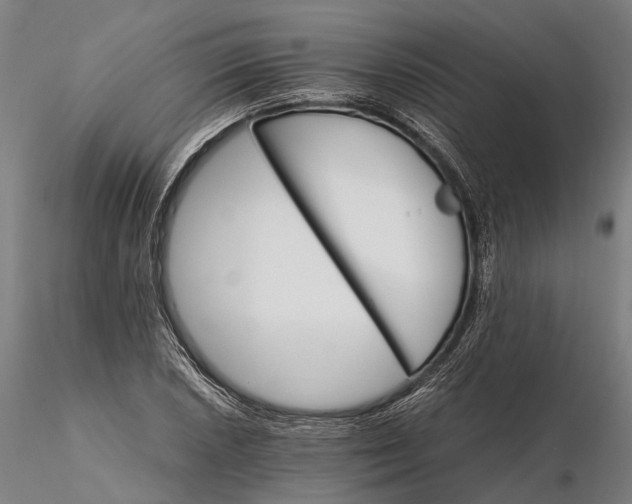 X0000116121026200912071341