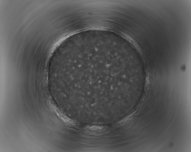 X0000116121027200912071341