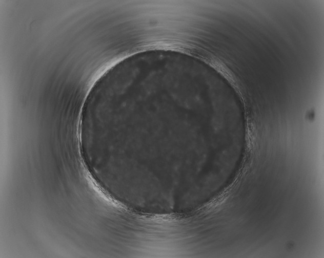 X0000116121028200912071341