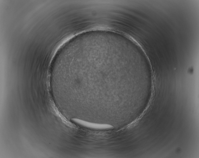 X0000116121029200912071341