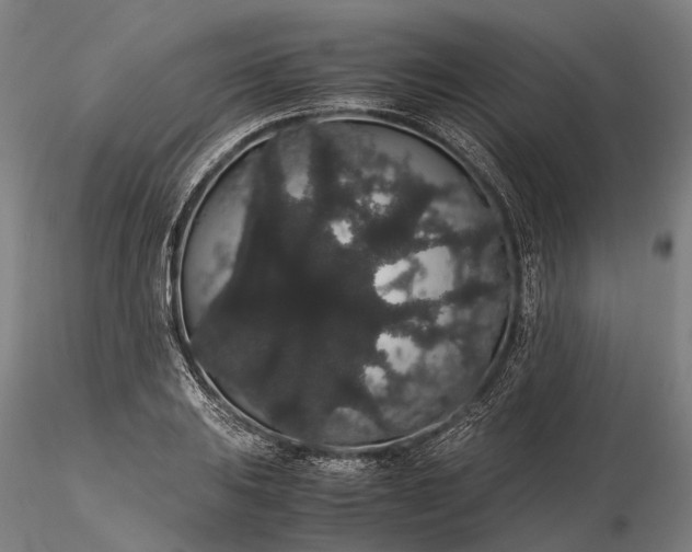 X0000116121031200912071341