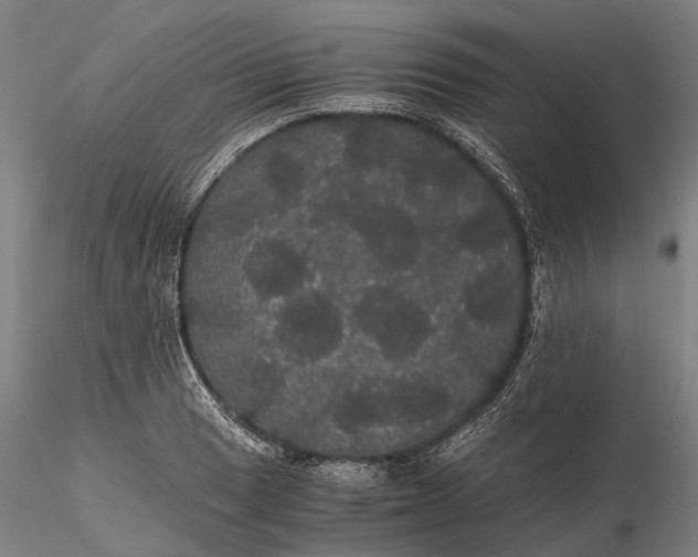 X0000116121033200912071341