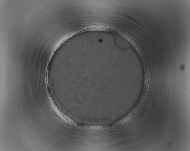 X0000116121034200912071341