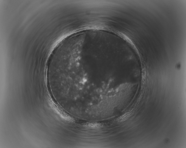 X0000116121035200912071341