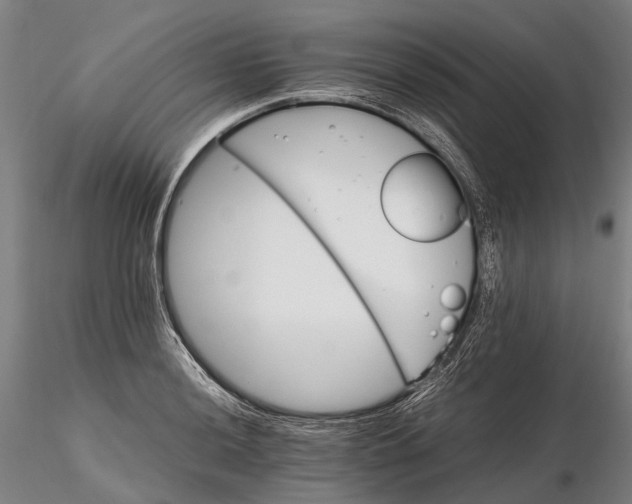 X0000116121036200912071341