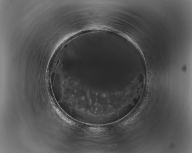 X0000116121037200912071341