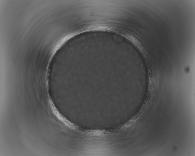 X0000116121038200912071341