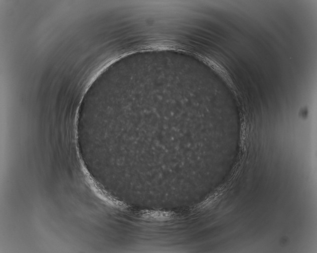 X0000116121039200912071341