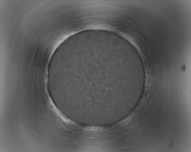 X0000116121040200912071341