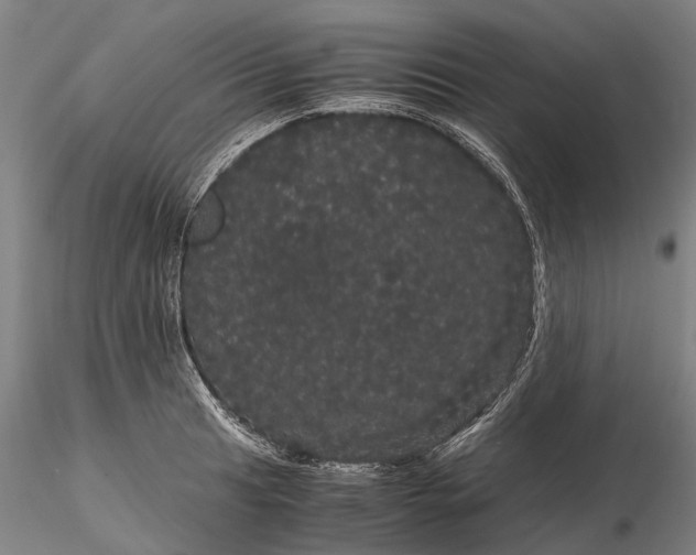 X0000116121041200912071341