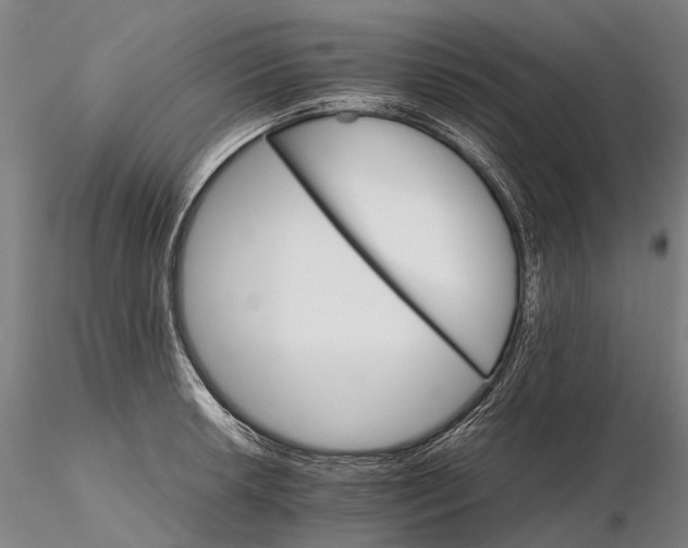 X0000116121042200912071341