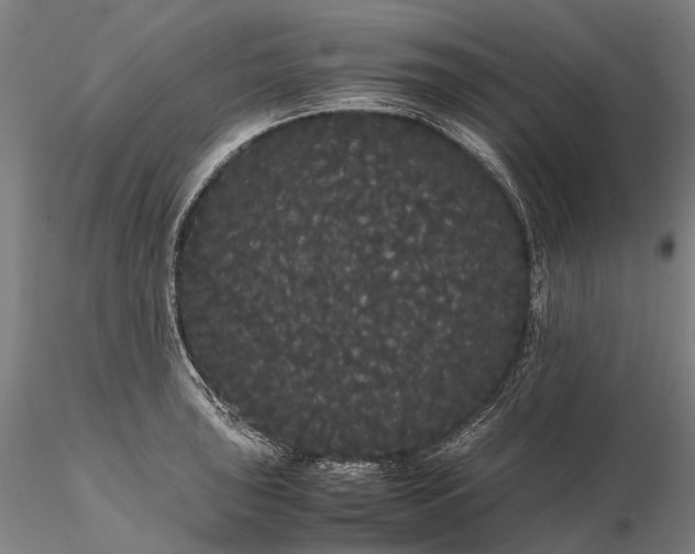 X0000116121043200912071341