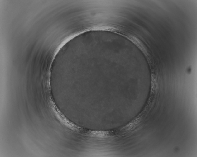 X0000116121044200912071341