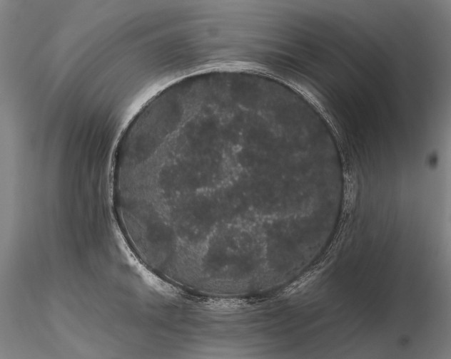 X0000116121046200912071341