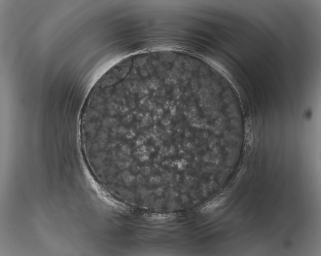 X0000116121047200912071341