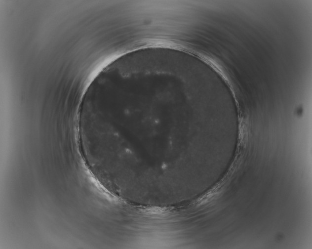 X0000116121048200912071341