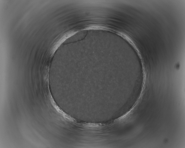 X0000116121049200912071341