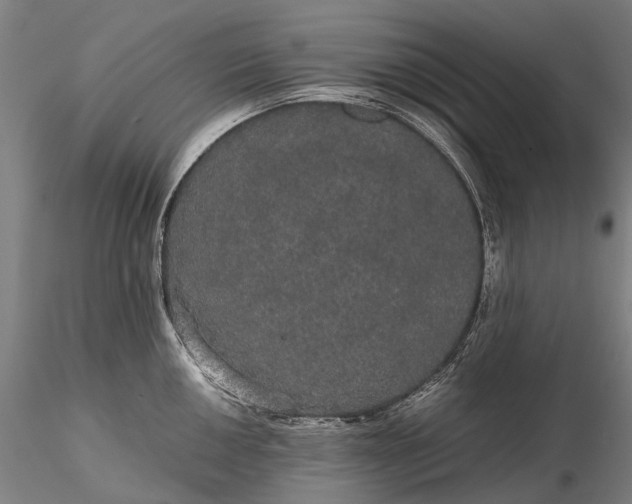 X0000116121050200912071341