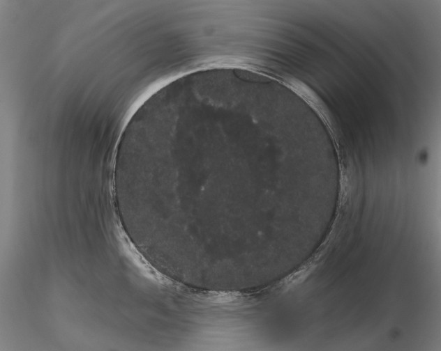 X0000116121052200912071341