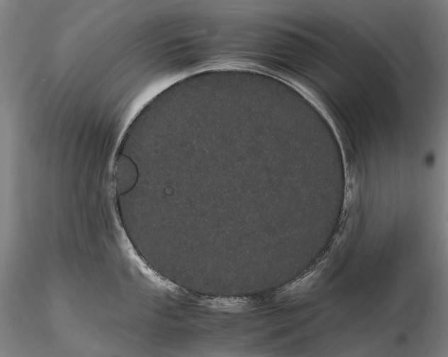 X0000116121053200912071341