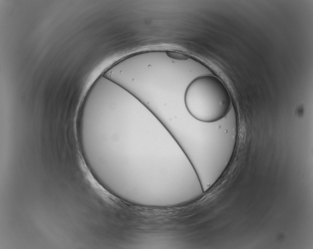 X0000116121054200912071341