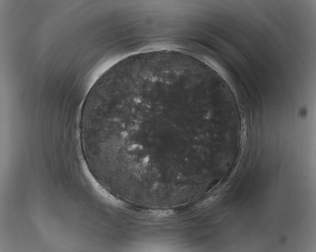 X0000116121055200912071342