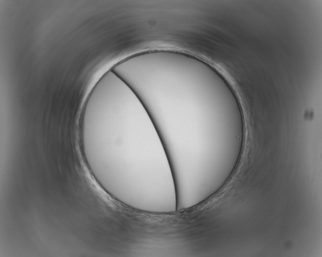 X0000116121056200912071342