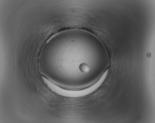 X0000116121057200912071341