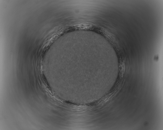 X0000116121058200912071341