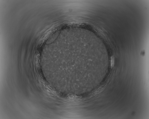 X0000116121059200912071341