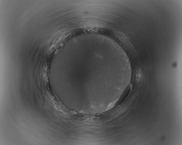 X0000116121060200912071341