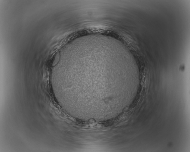 X0000116121061200912071341