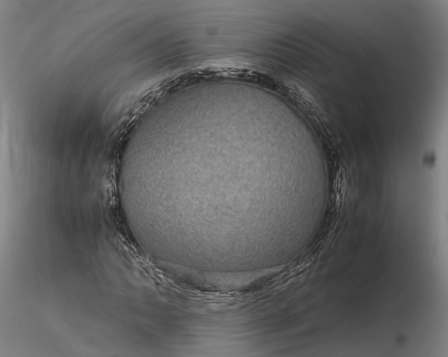 X0000116121062200912071341