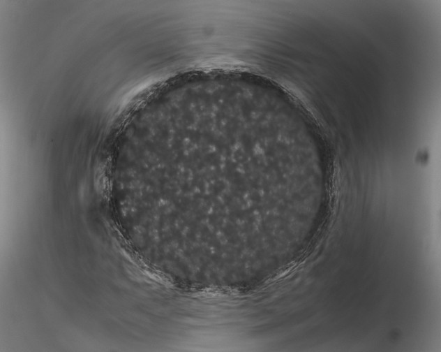 X0000116121063200912071341