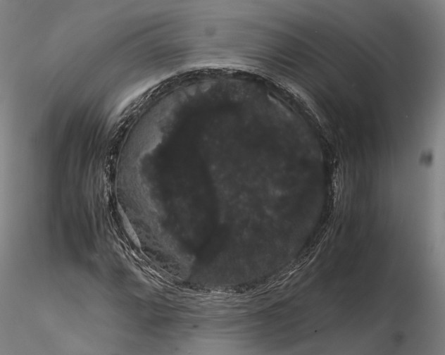 X0000116121064200912071341