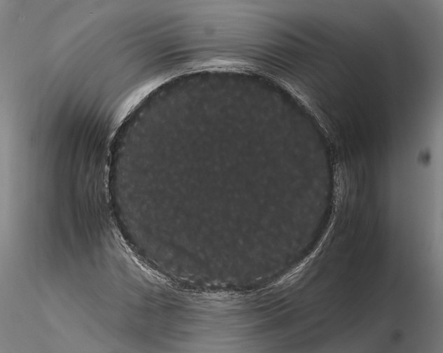 X0000116121066200912071341