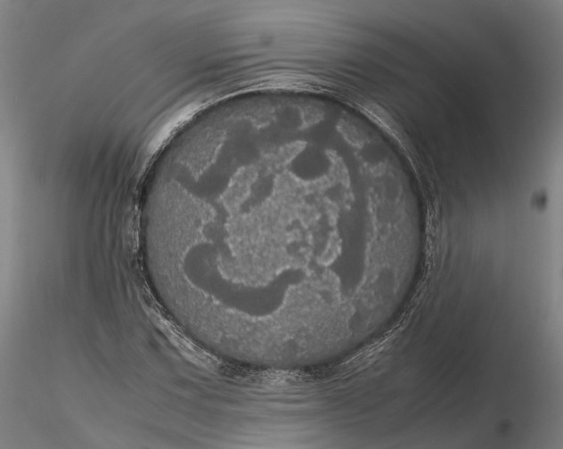 X0000116121067200912071341