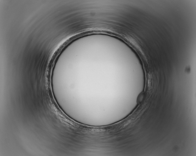 X0000116121068200912071341