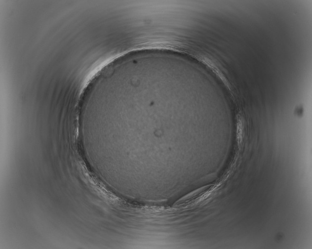 X0000116121069200912071341