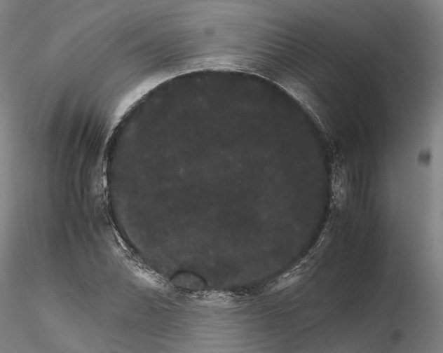 X0000116121070200912071341