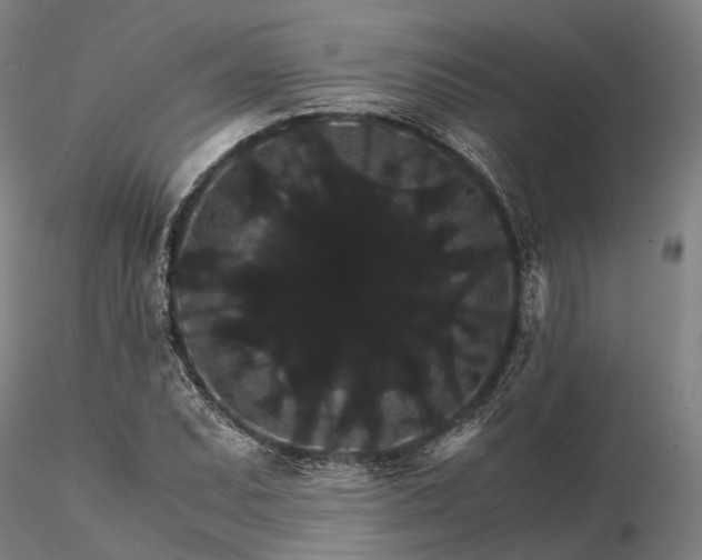 X0000116121071200912071340