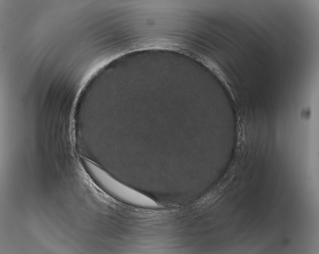 X0000116121072200912071340