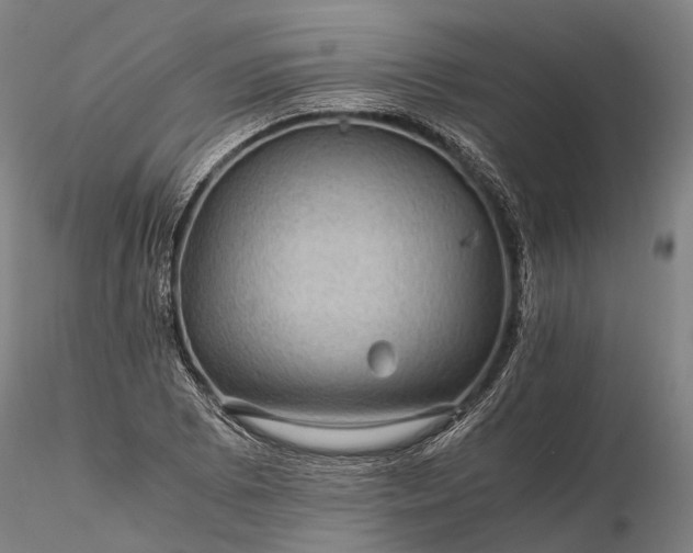 X0000116121073200912071340